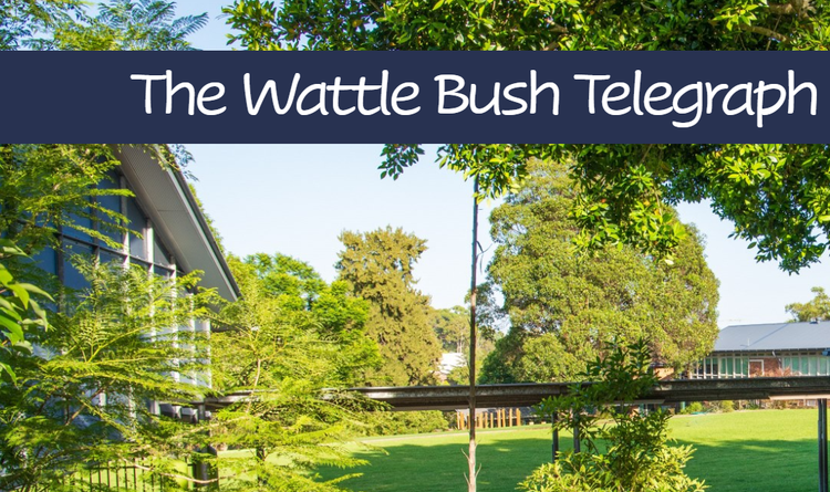 Photo of the school newsletter front page